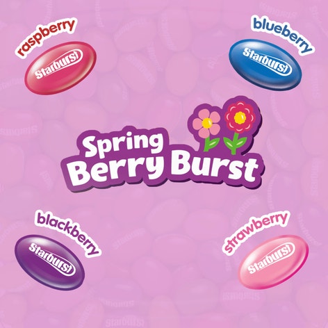 STARBURST Spring Berry Burst Jellybeans 14 oz bag