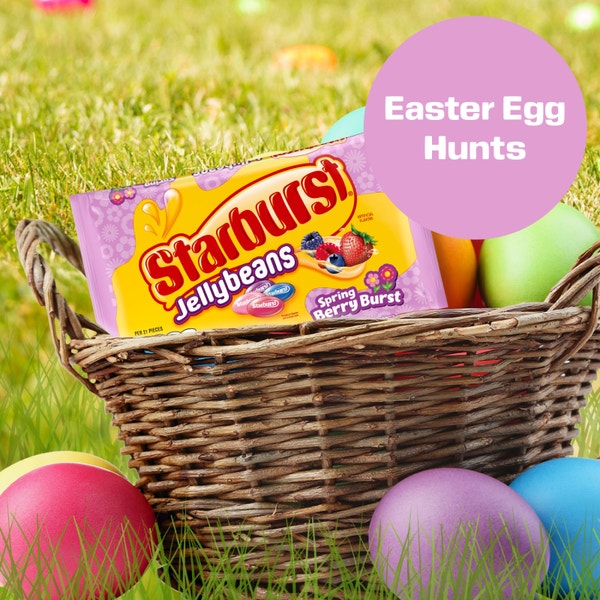 STARBURST Spring Berry Burst Jellybeans 14 oz bag